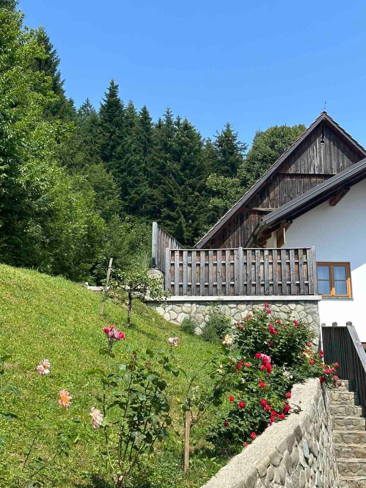 Apartamento Rose Garden Ljubno Exterior foto